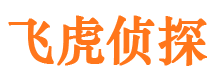 嘉峪关市侦探公司